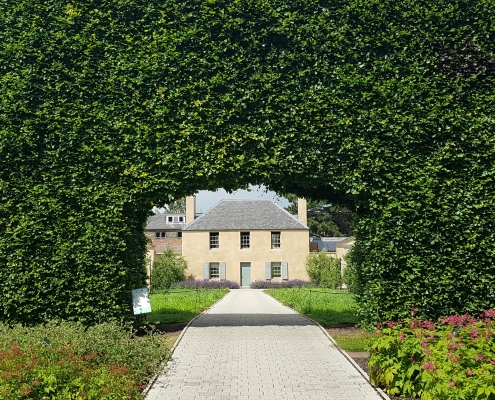 katherine-carlyon-_aI5kpaSMAQ-unsplash Hedging 101; hedge is a form of protection