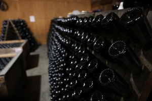 Racked Bottles at Iron Horse Rack of wine bottles displayed at Iron Horse Winery