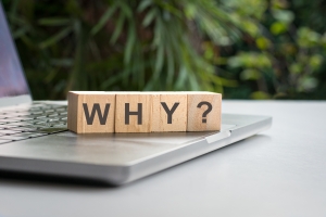 Why, word on top of laptop wooden blocks sitting on a laptop keyboard - spelling "why?", with green plants in background; Brent OIl Price Drop