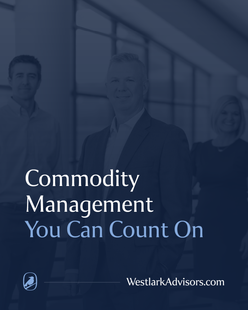 Post 04 - 4-5 Transparent blue background over picture of Westlark Team with Commodity Management You Can Count On as a title