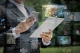 person holding tablet and smartphone while the rest of the space is overlaid with transparent news articles; Westlark Advisors in BPN; Iran War impact energy prices