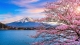 Mount Fuji, Japan in distance with cherry blossoms in foreground, WLGA Innovation Summit 2026