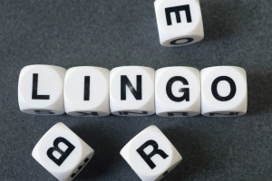 word lingo on toy cubes white cubes spelling out "lingo" against gray background with loose squares; hedging contango backwardation