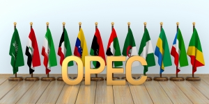 OPEC Countries flag in hall. 3D illustration OPEC member flags with letters - "OPEC" in front; OPEC strategy